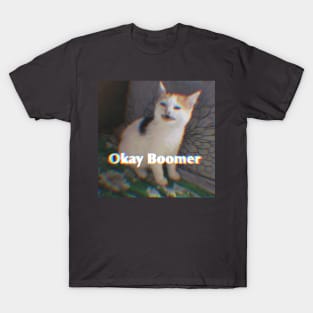 Ok Boomer Cat Meme T-Shirt